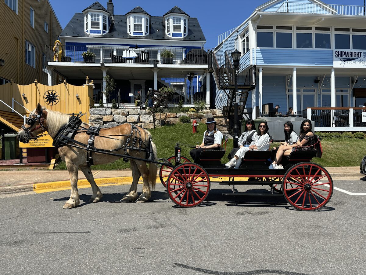 ACLA students enjoying a horse and trap ride through historic Lunenburg